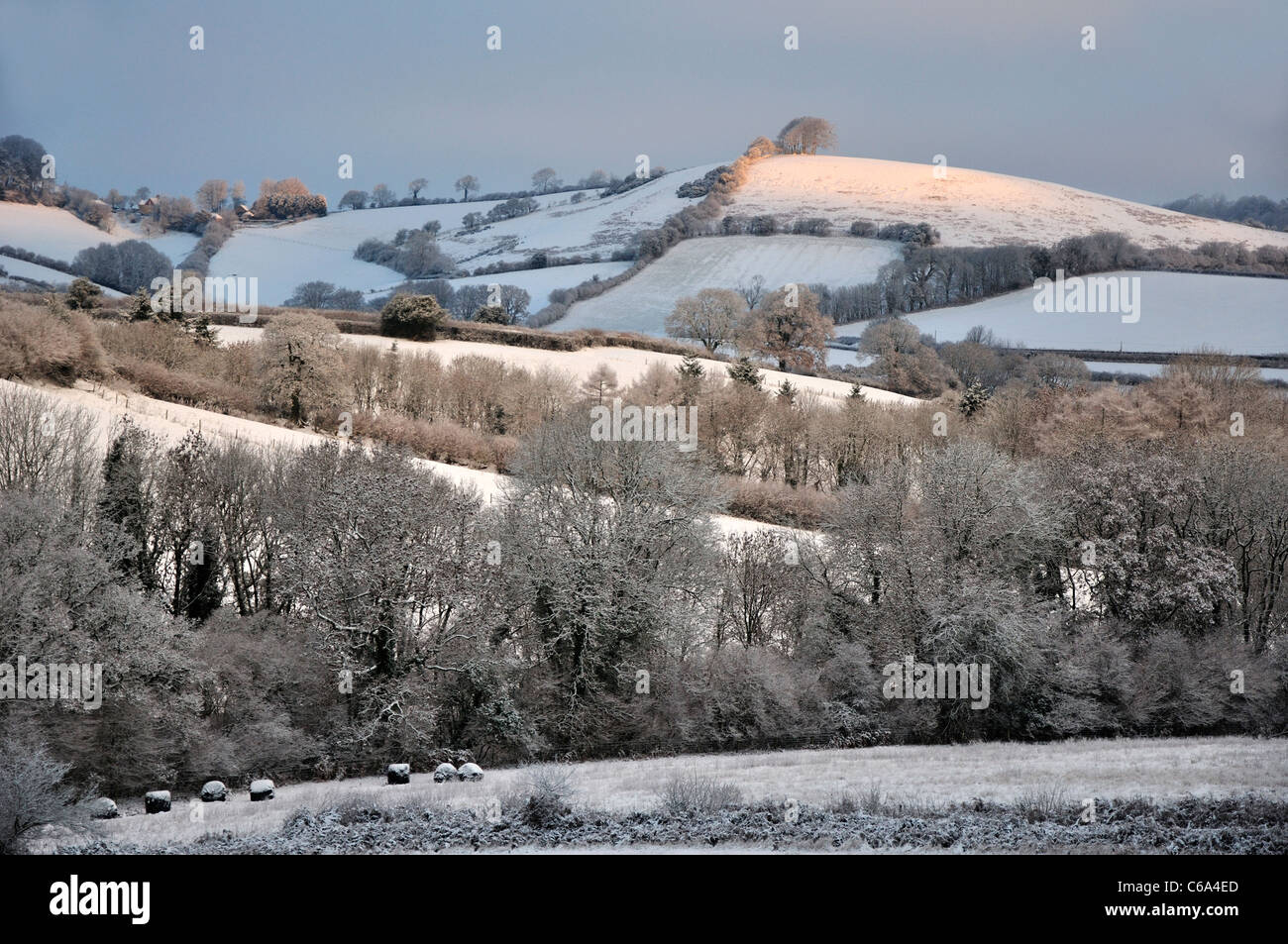 Una vista de Gerrards colina cubierta de nieve con un rayo de sol que entra en él Dorset UK Foto de stock
