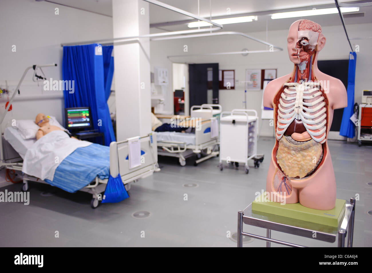 Anatomía Humana modelo anatómico hospital configurar habilidades clínicas lab paciente ficticio en la cama Foto de stock