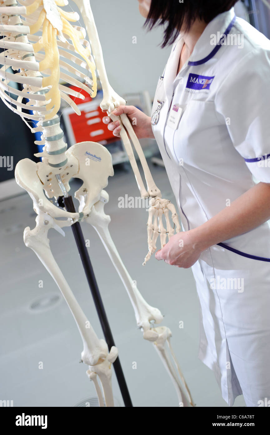 Estudiante de enfermería sosteniendo la mano de un modelo de esqueleto humano ficticio Foto de stock