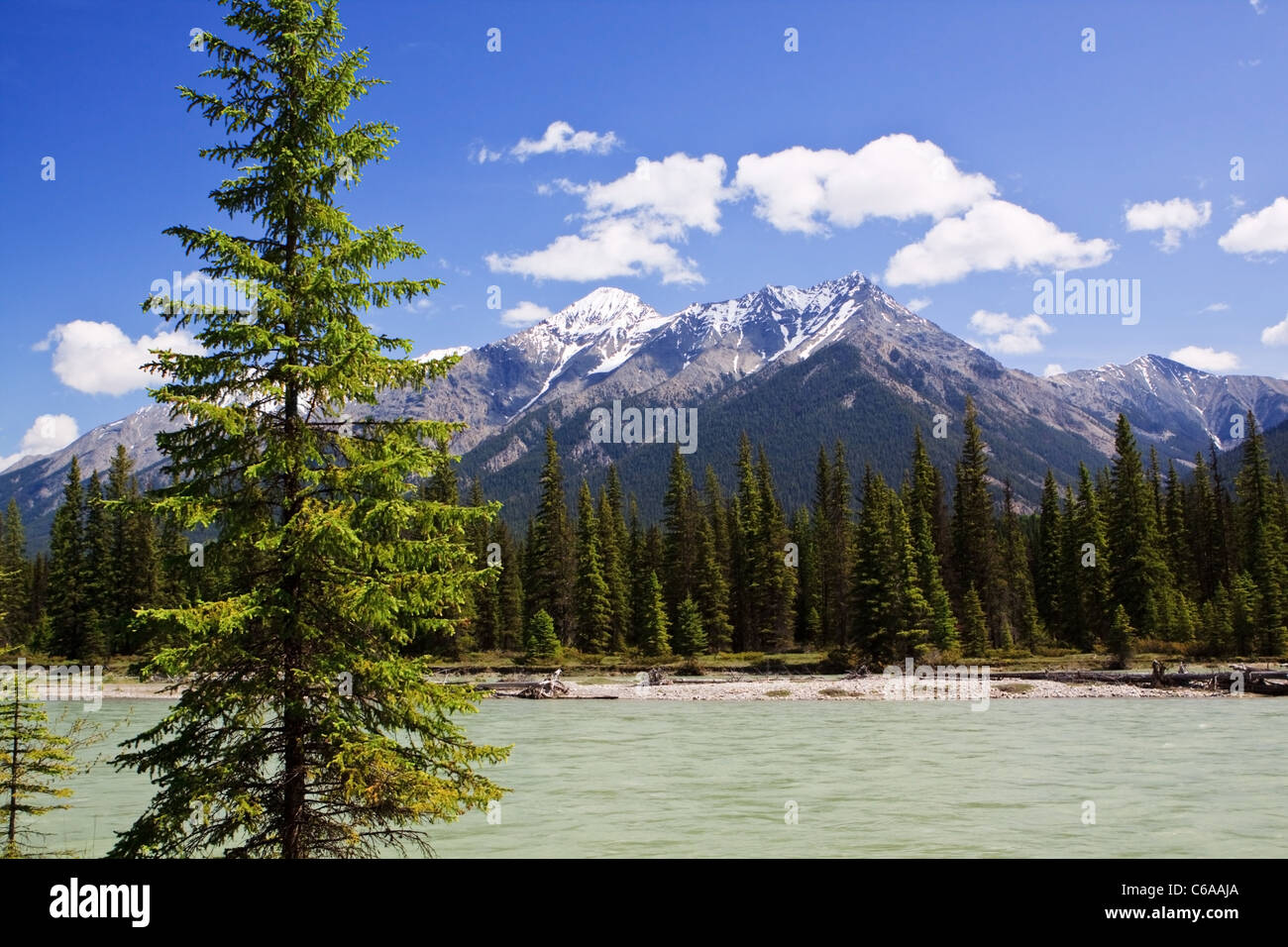 Valle Bow River, cerca de Banff BC Canadá Foto de stock