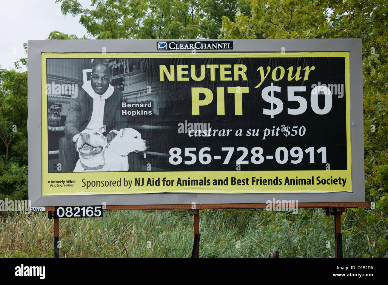 Las vallas publicitarias de la esterilización de perros Pit Bull, Bridgeton, New Jersey Foto de stock