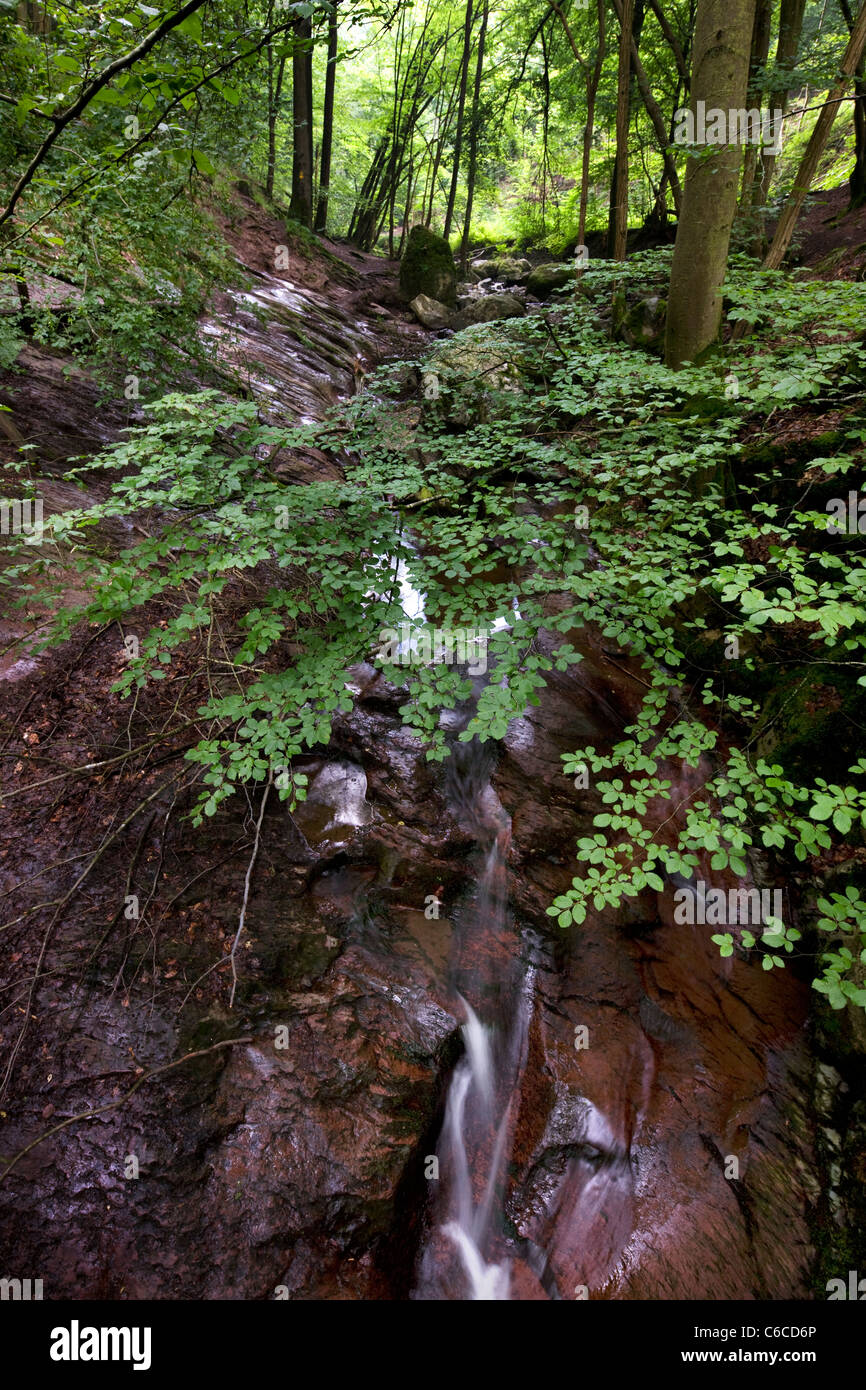 Ninglinspo watefall, afluente del río Amblève cerca de Remouchamps, Aywaille, Ardenas belgas, Bélgica Foto de stock