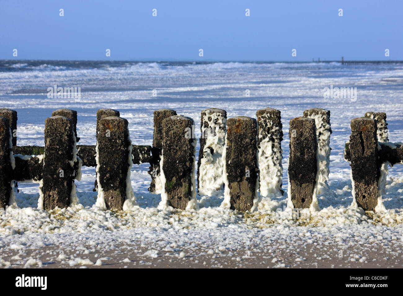 Espigón de madera cubierto de espuma de mar / océano / playa espuma espuma formada durante condiciones de tormenta y tras una floración de algas Foto de stock
