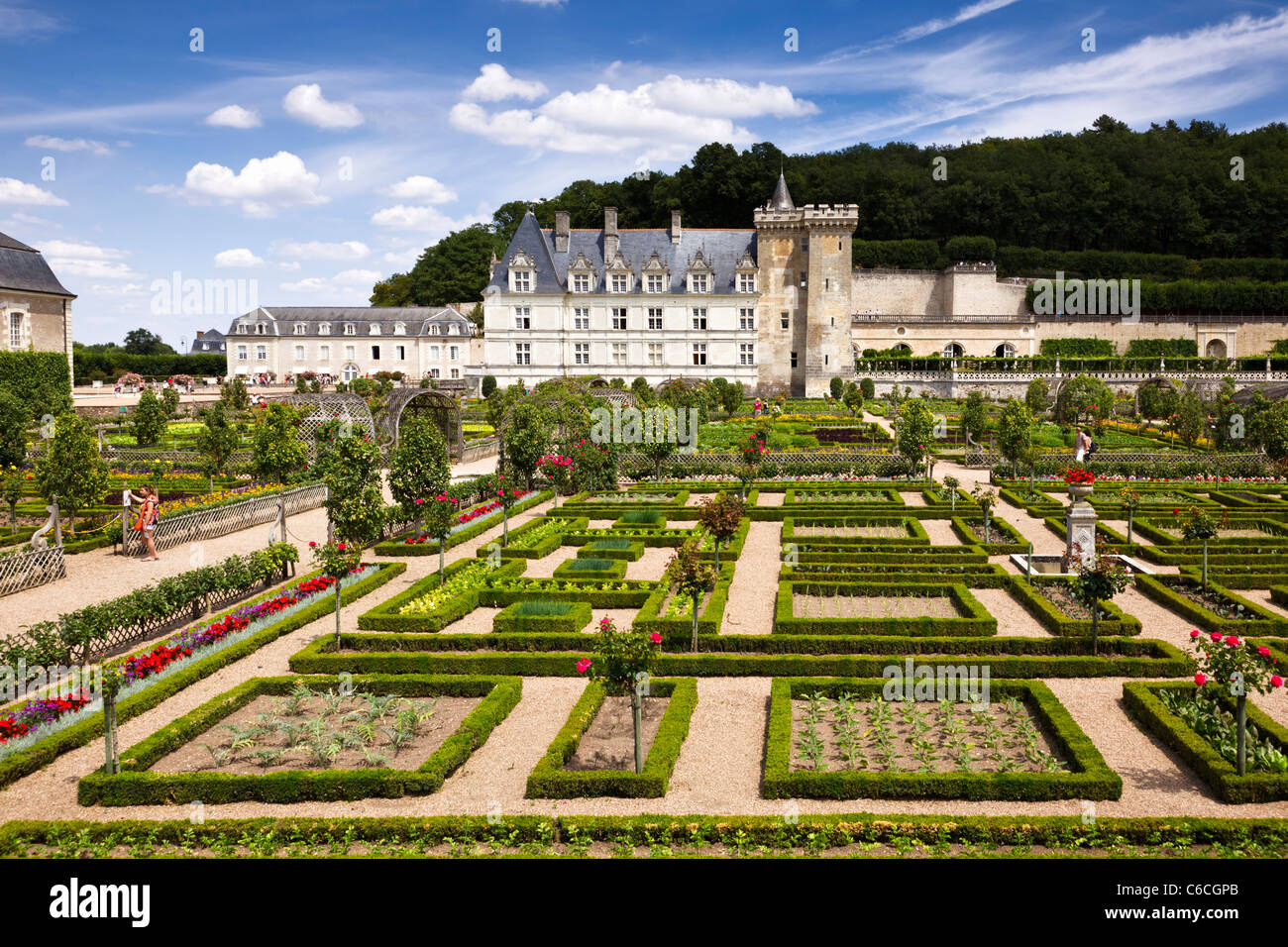 Jardín formal en Chateau Villandry, Indre et Loire, Francia, Europa Foto de stock