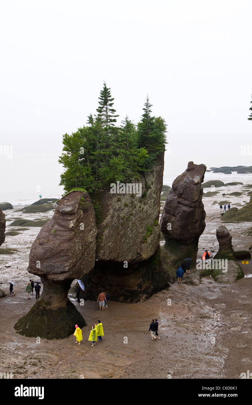 Hopewell Rocks, Río de Chocolate, la Bahía de Fundy, New Brunswick