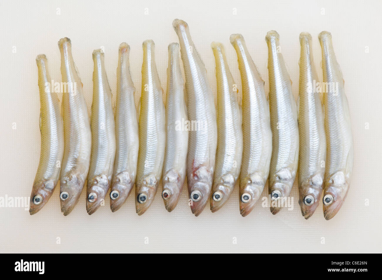 Fila de peces de colada Fotografía de stock - Alamy