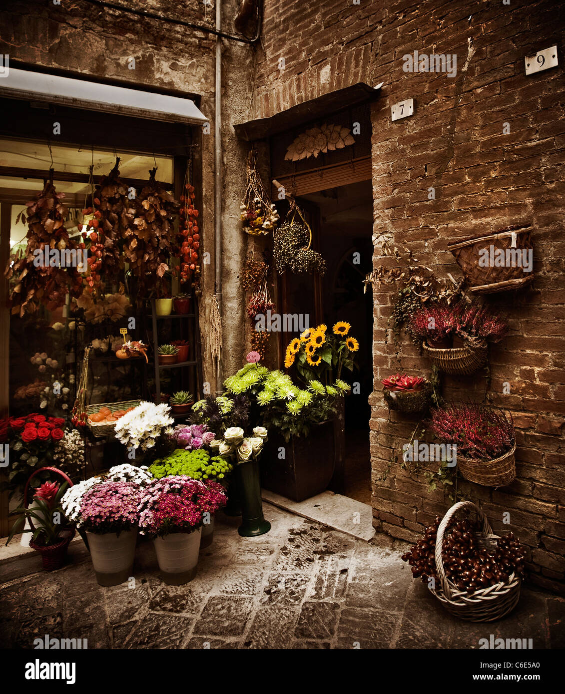 Tienda de flores hermosas en un pequeño pueblo de Toscana, Italia Foto de stock