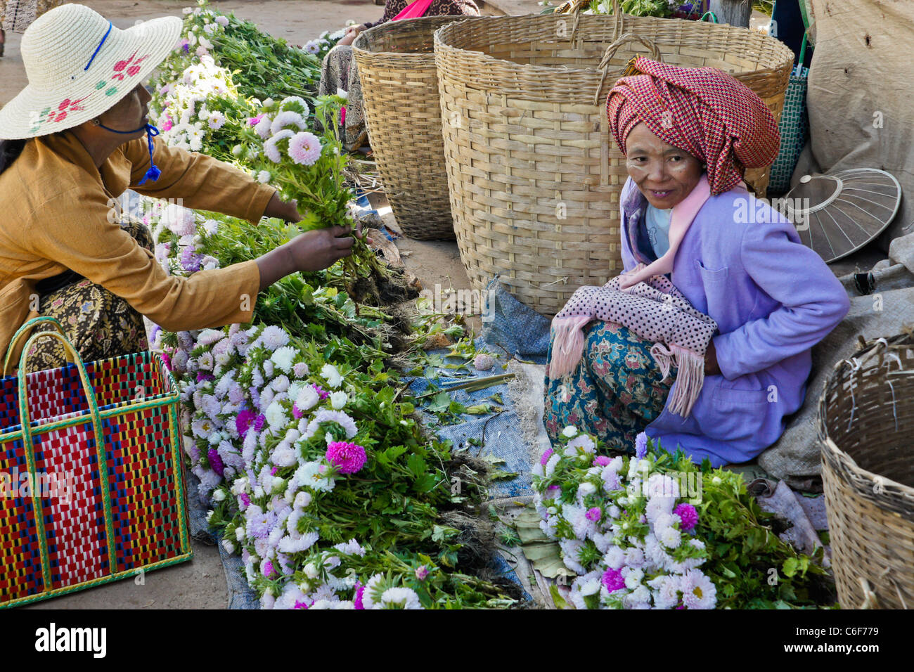 Mujer vendiendo asters en Phaungdaw U cinco días de mercado, el Lago Inle, Myanmar (Birmania) Foto de stock