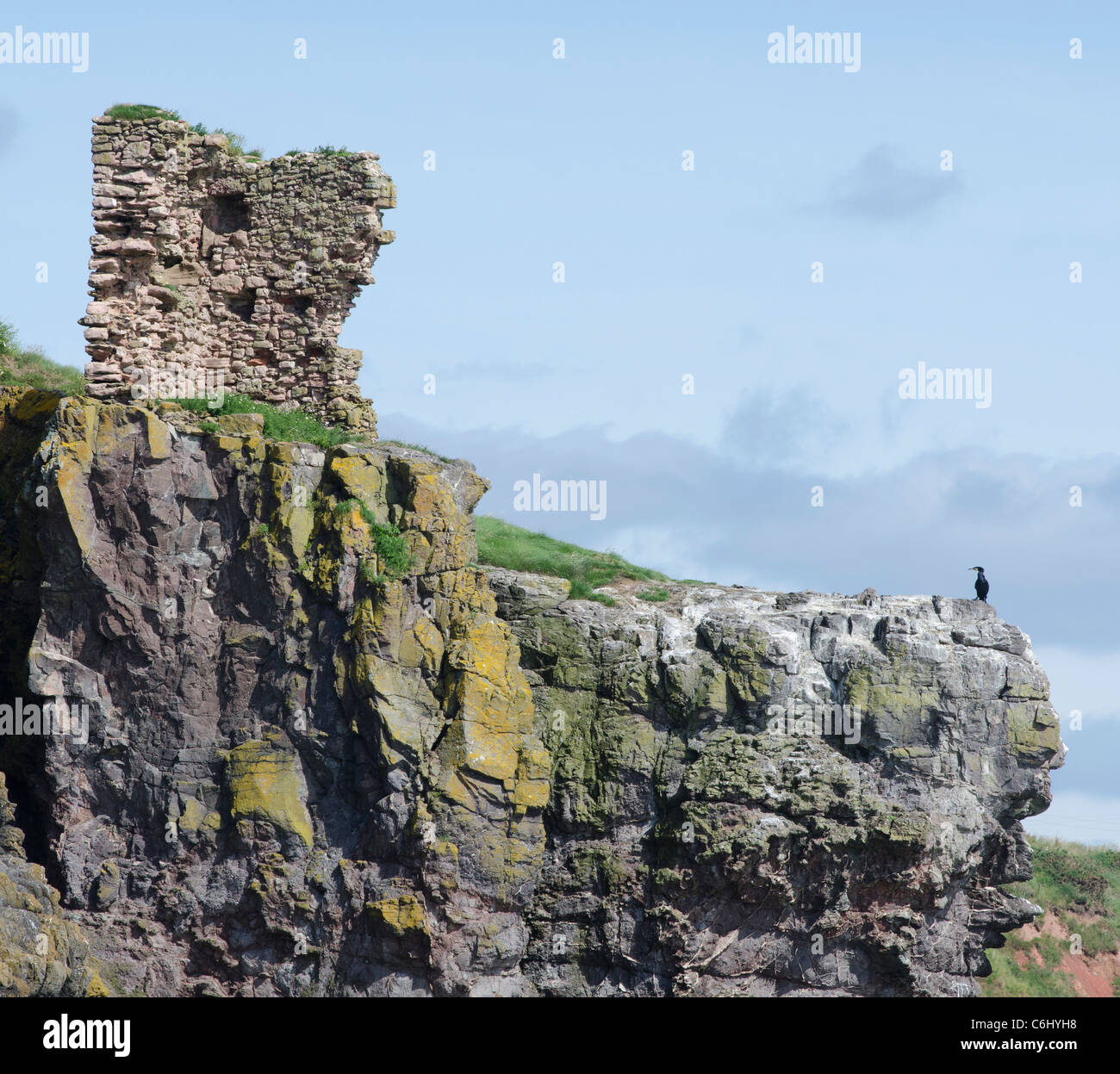 Cormorán posado en la roca por las ruinas del castillo en el extremo norte de la bahía de San Ciro, Reserva Natural Nacional Foto de stock