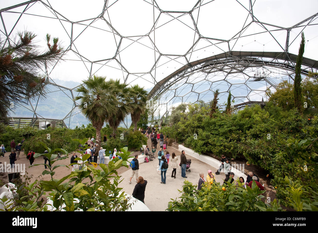 El bioma mediterráneo en el Eden Project. Foto:Jeff Gilbert Foto de stock