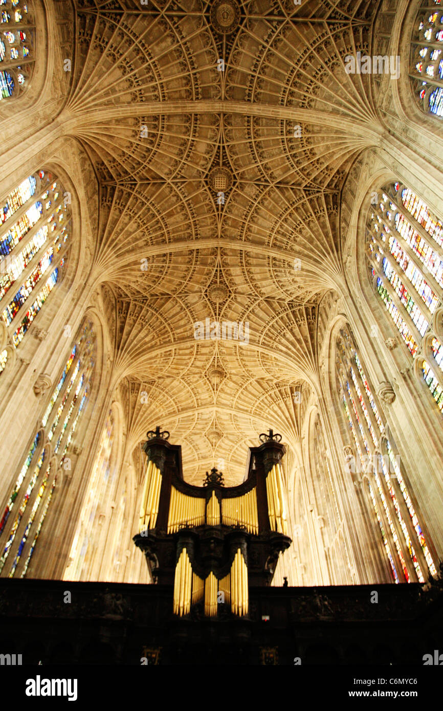 Vista desde debajo del ventilador techo abovedado y órgano en la capilla del rey, de la Universidad de Cambridge Foto de stock
