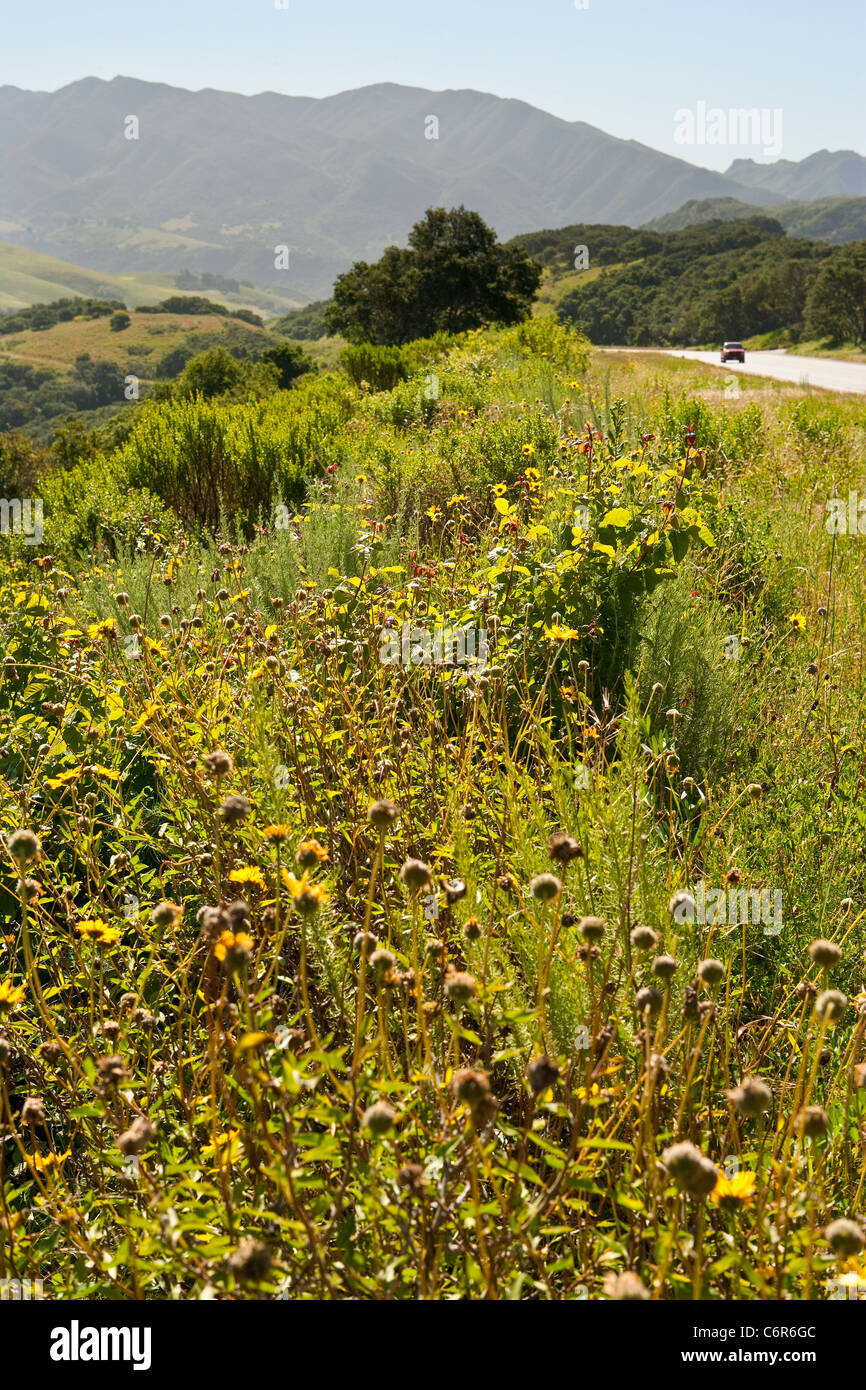 La autopista 1 entre Gaviota y de Lompoc, California, Estados Unidos de América Foto de stock