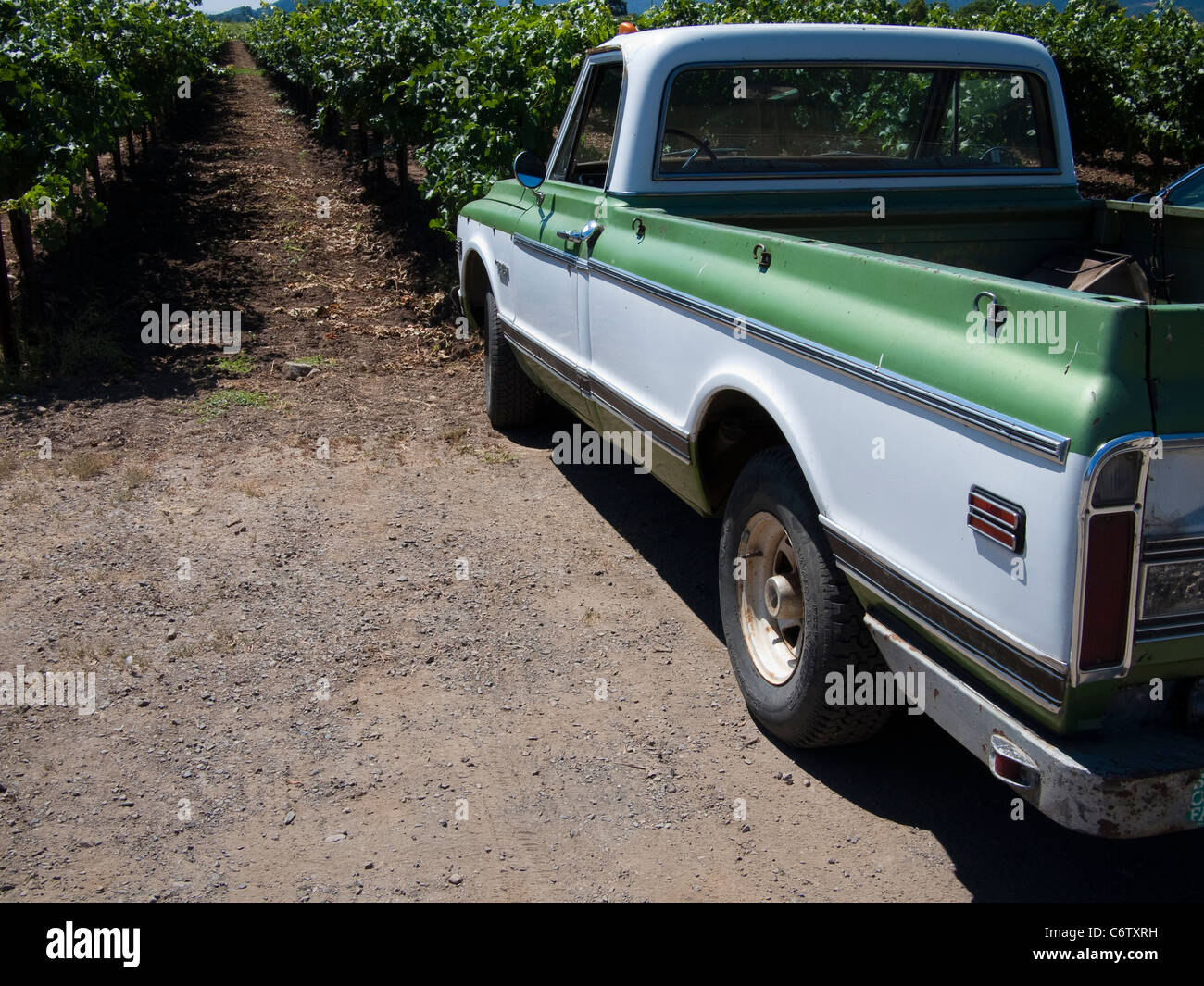 Viejo Chevy Pickup, Napa Valley, California. Foto de stock
