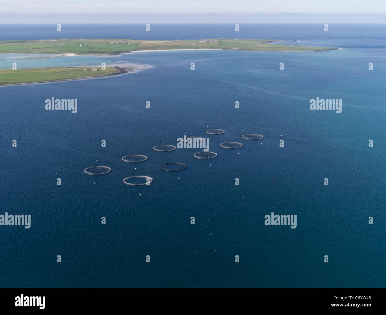 dh Granja de Pescado de Salmón Escocés WESTRAY ORKNEY Islands Granja de pescado circular jaulas desde arriba vista aérea remota de la isla escocia Foto de stock