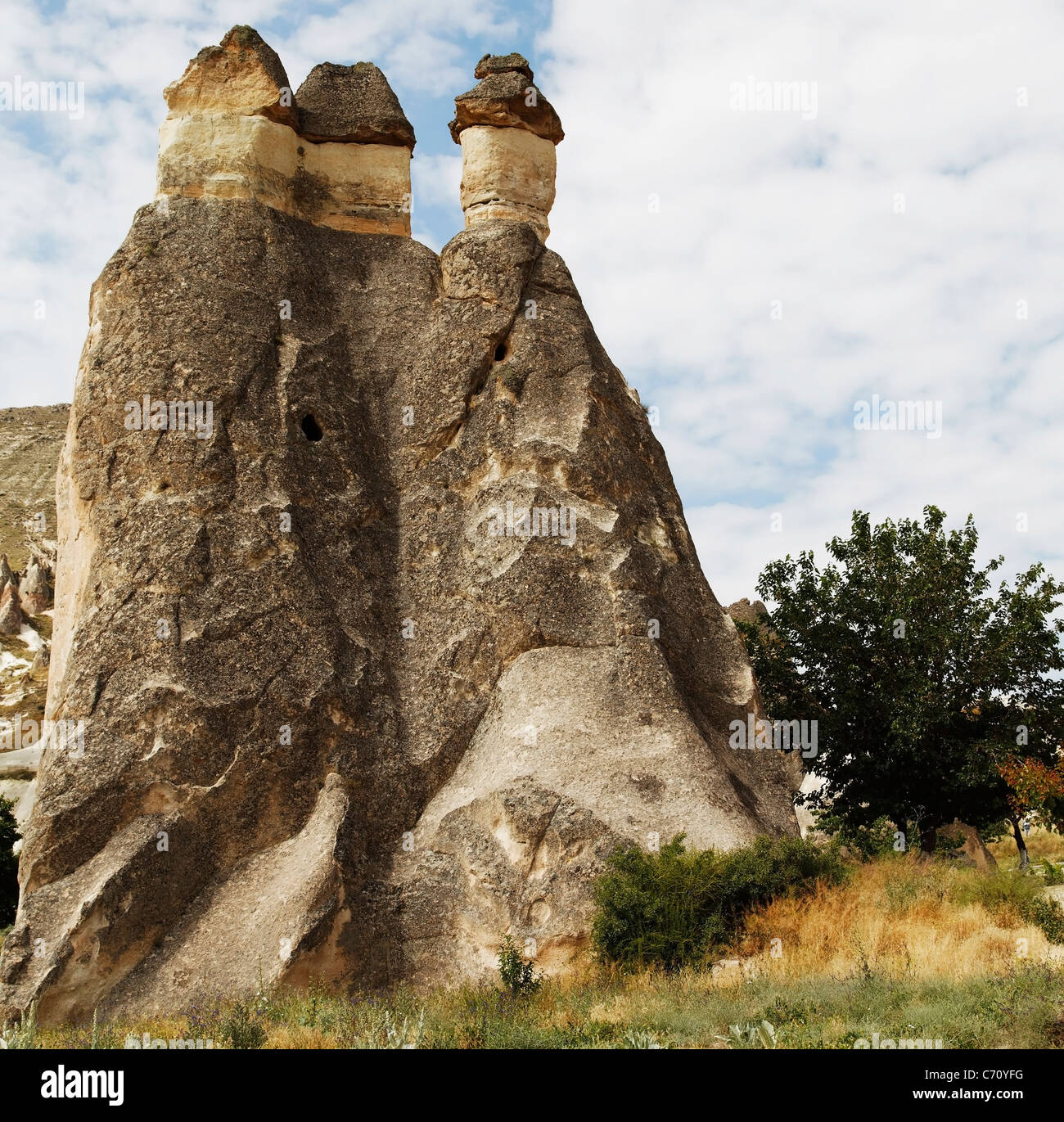 Formato cuadrado tres chimeneas de hadas group en el desierto de Cappadocia, Turquía está rodeado por arbustos silvestres y minerales Foto de stock