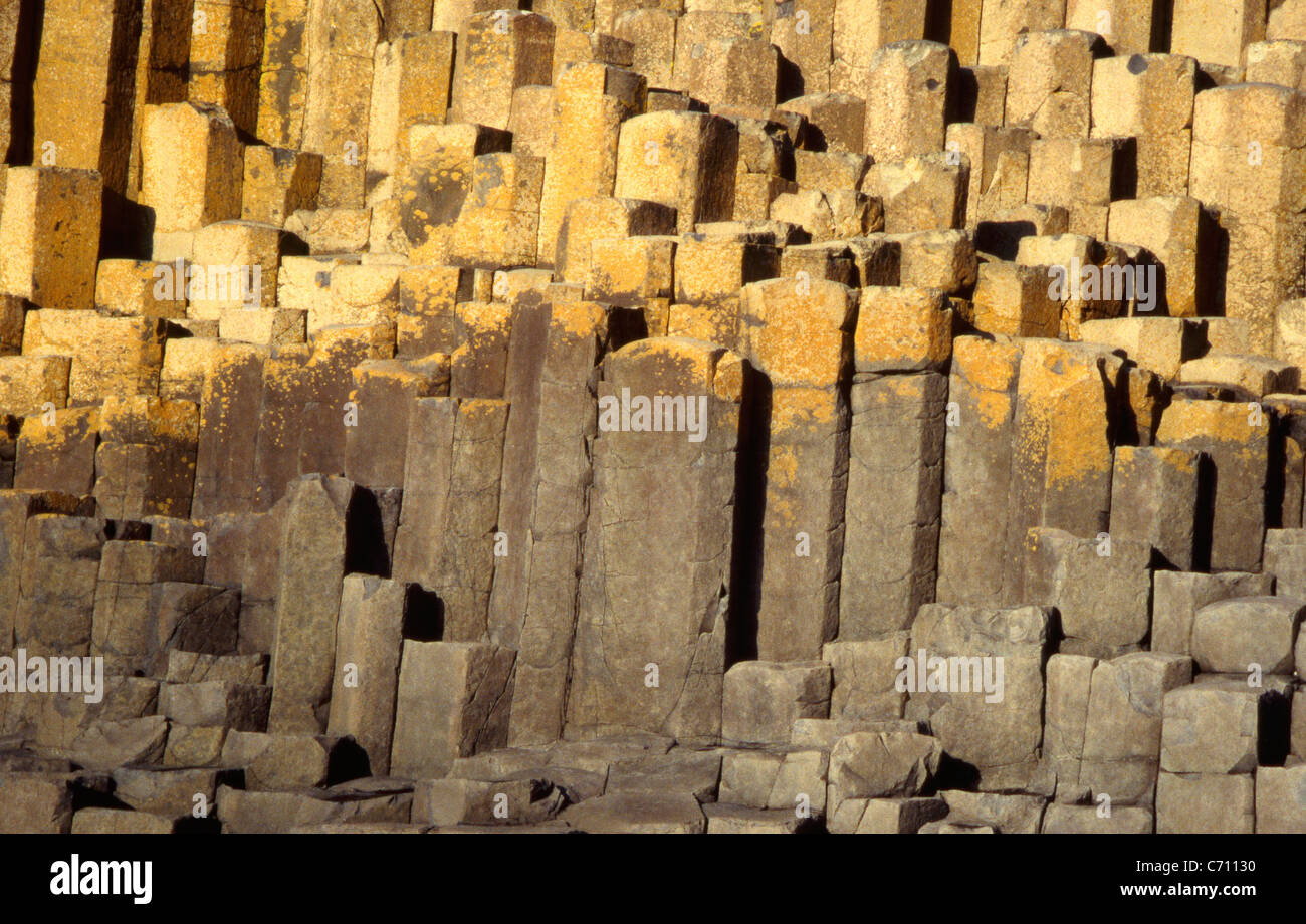 Los que deseen presidir en el Giant's Causeway Foto de stock