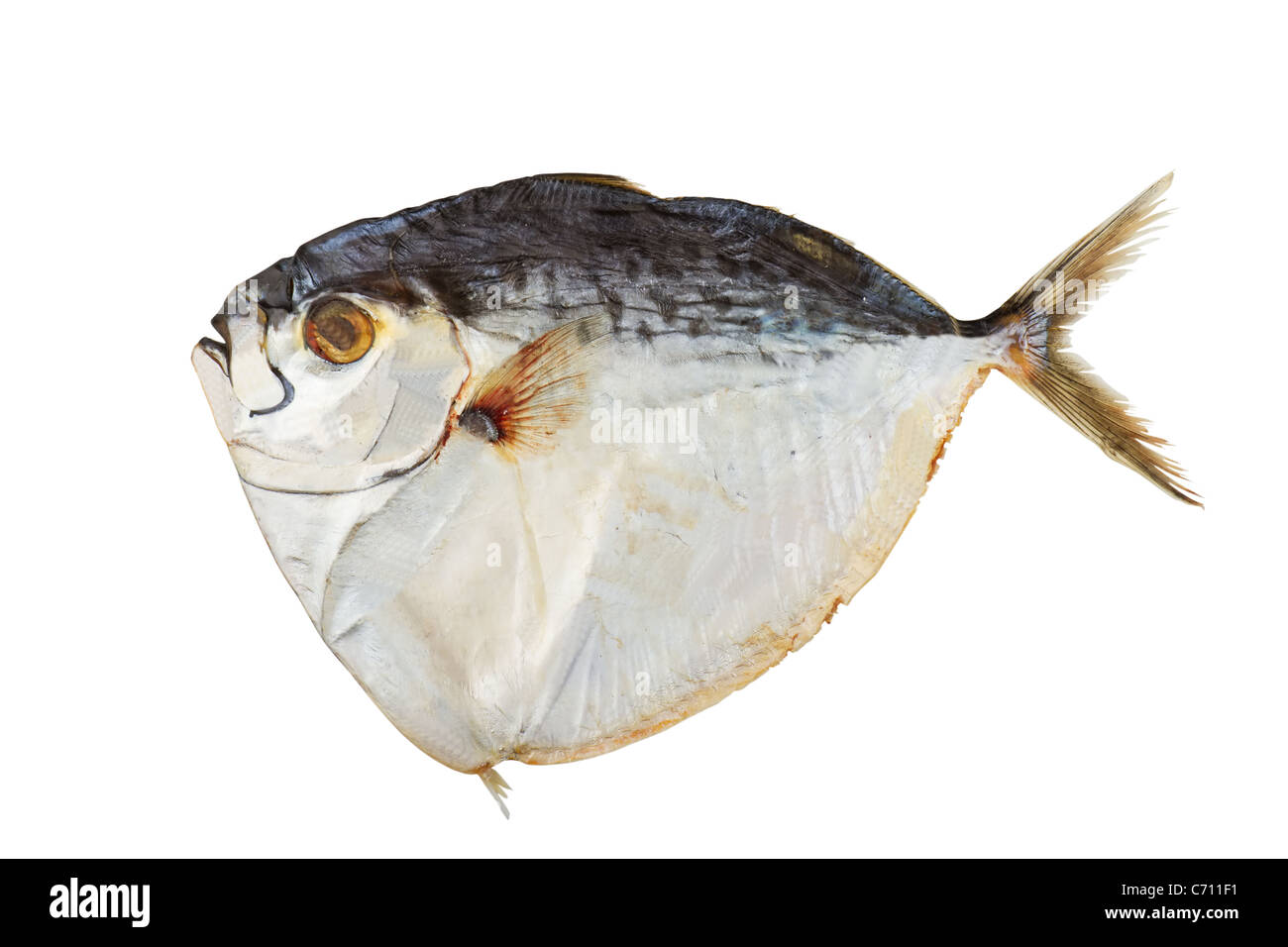Pescado seco aislado sobre un fondo blanco Fotografía de stock Alamy