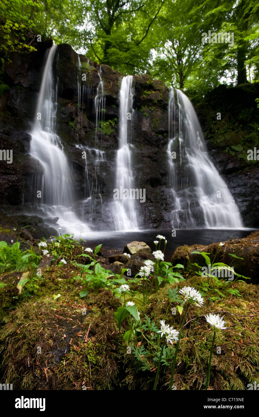 Cascada en Glenariff Forest Park Foto de stock