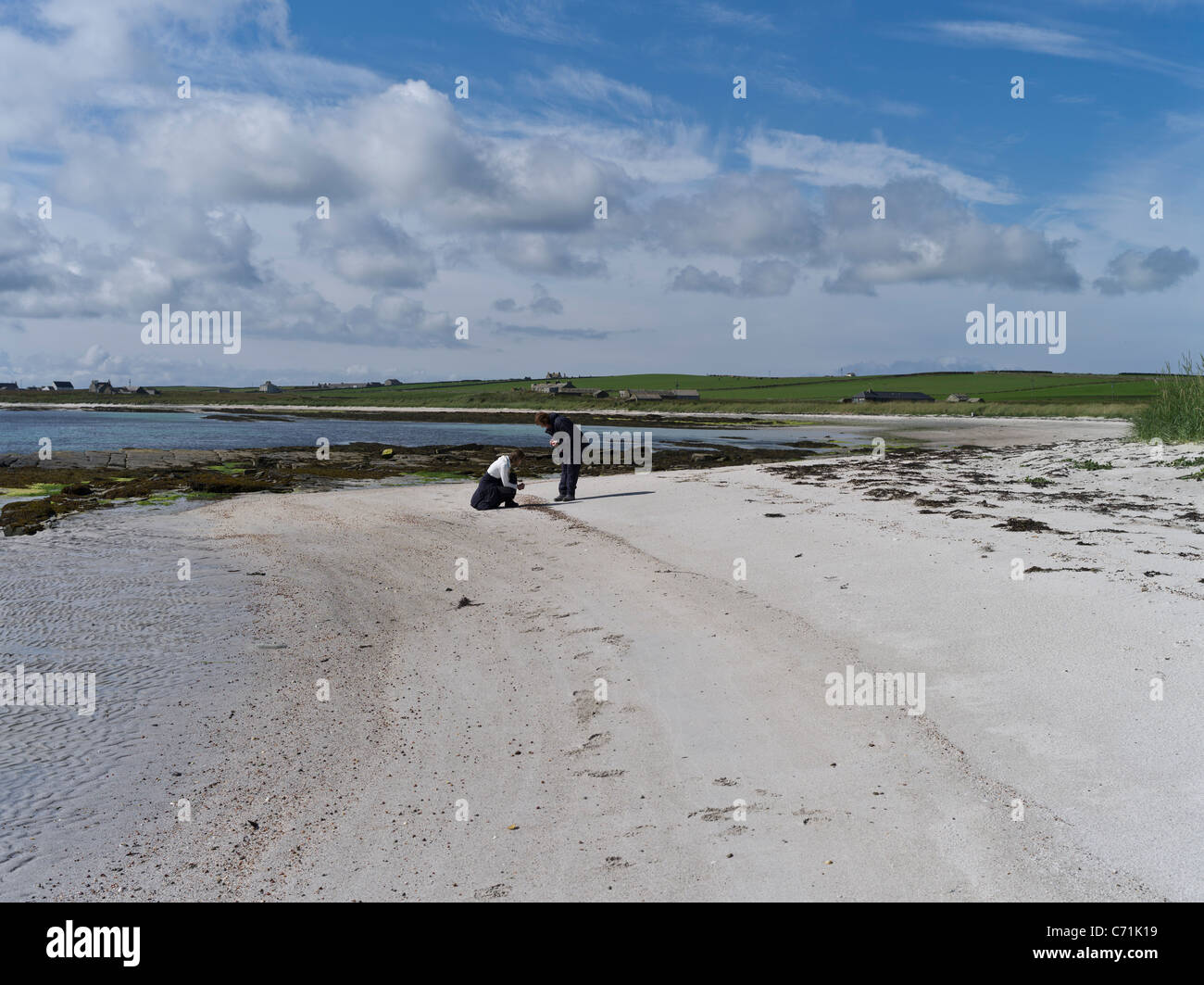 Dh Sur Wick PAPA WESTRAY Escocés ORKNEY turistas recogiendo conchas de playa de arena blanca de personas Escocia Foto de stock