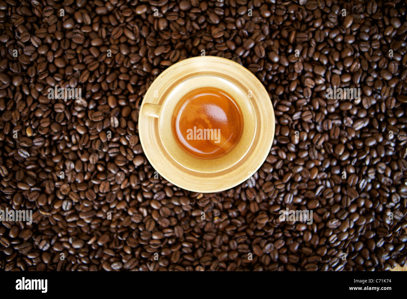 Taza de café espresso en un campo de café. Foto de stock
