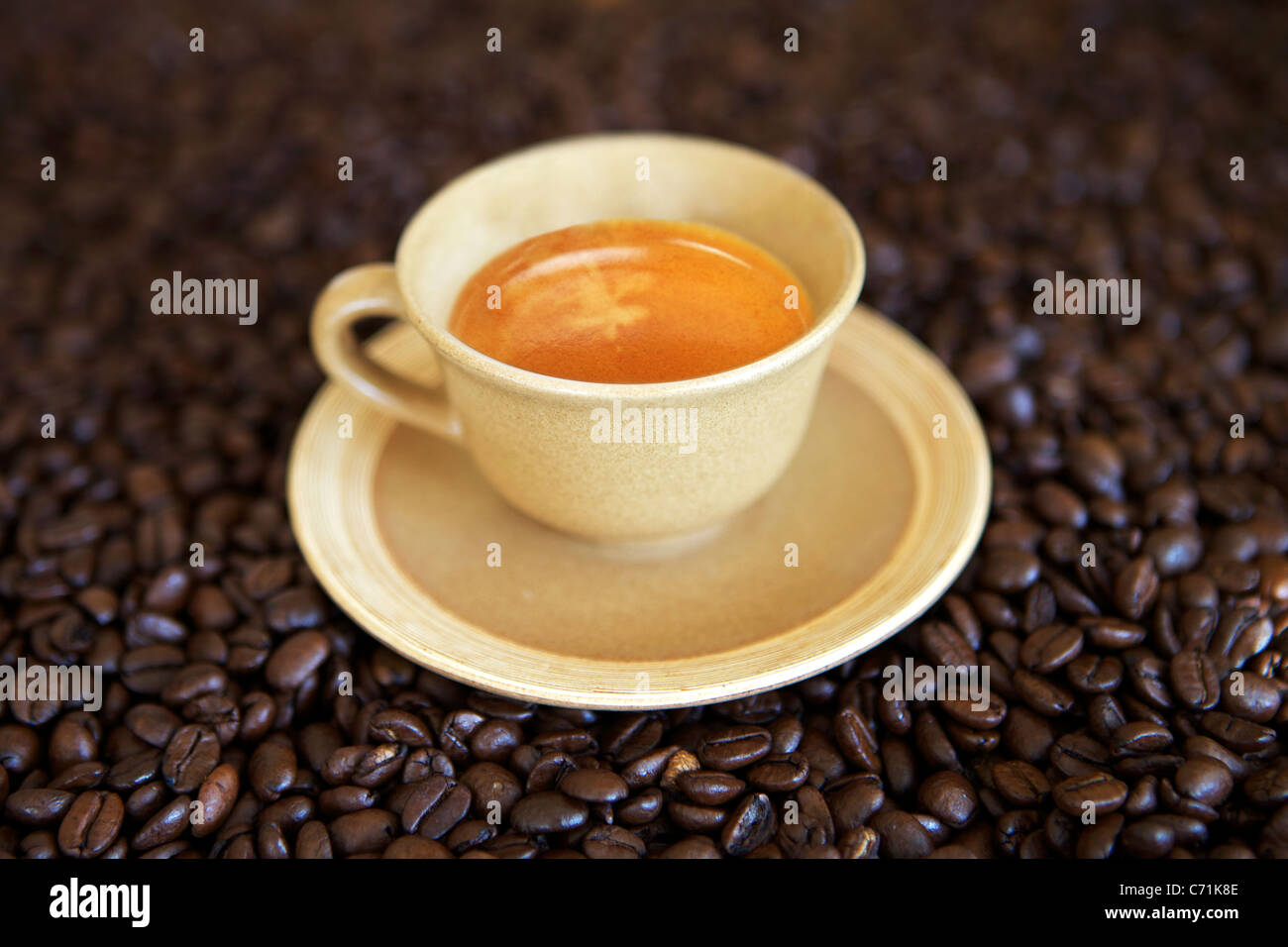 Taza de café espresso en un campo de café. Foto de stock