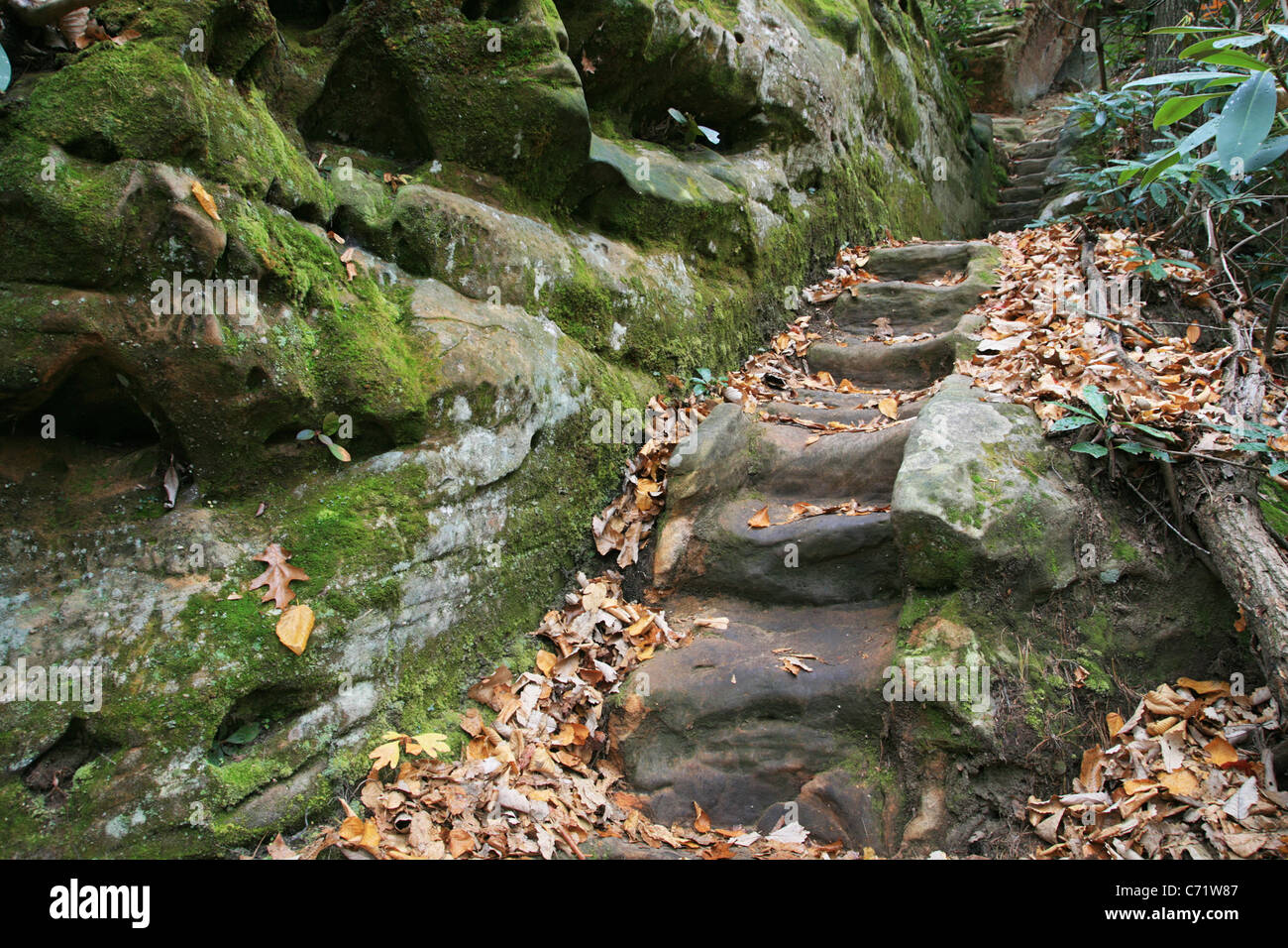 Escalones de piedra tallada en piedra arenisca de musgo natural en el Parque Estatal de puente, Kentucky Foto de stock