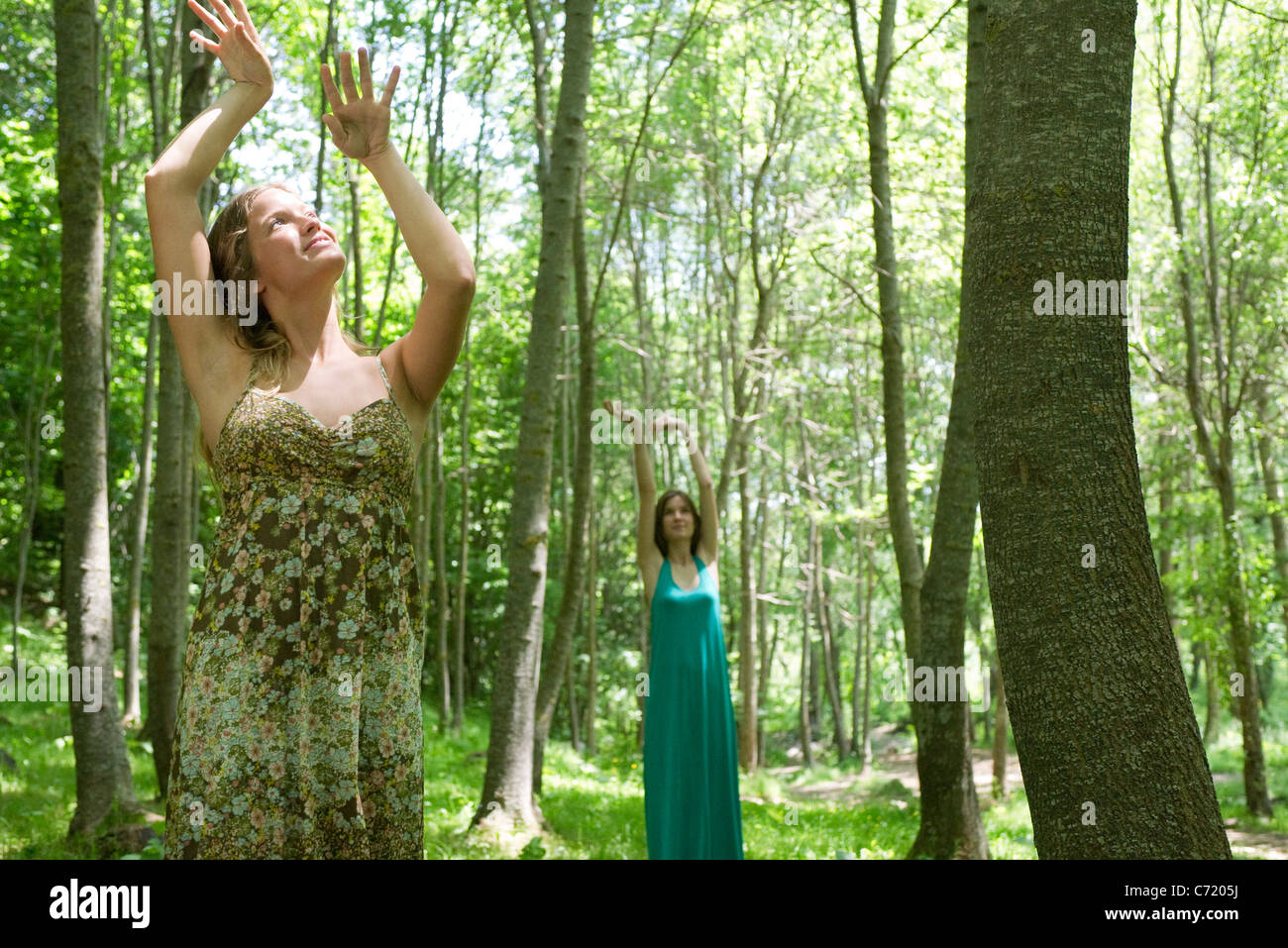 Las mujeres jóvenes en los bosques, los brazos levantados hacia el sol Foto de stock