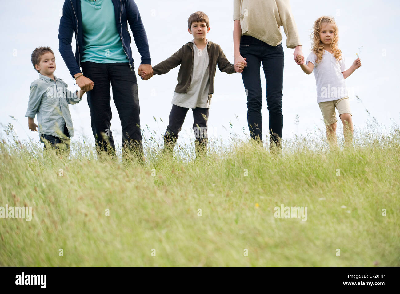 Familia caminando de la mano en el campo, recortadas Foto de stock