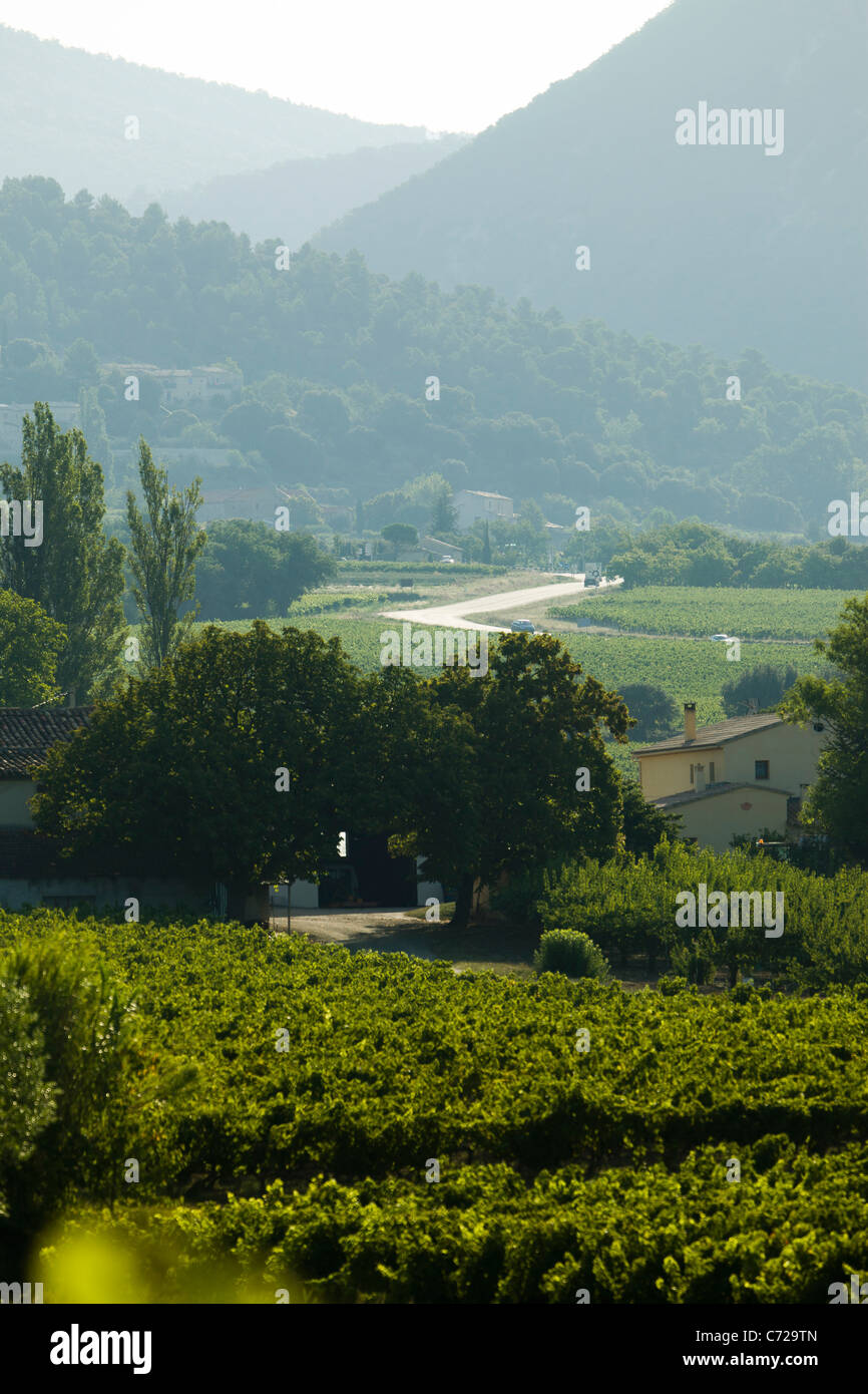 Los viñedos y las montañas cerca de Font de Barral Saint-Pantaléon-les-Vignes en el sur Drome, Francia Foto de stock