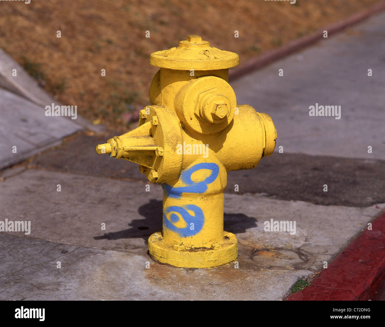 Hidrante amarillo sobre la acera, San Francisco, California, Estados Unidos de América Foto de stock