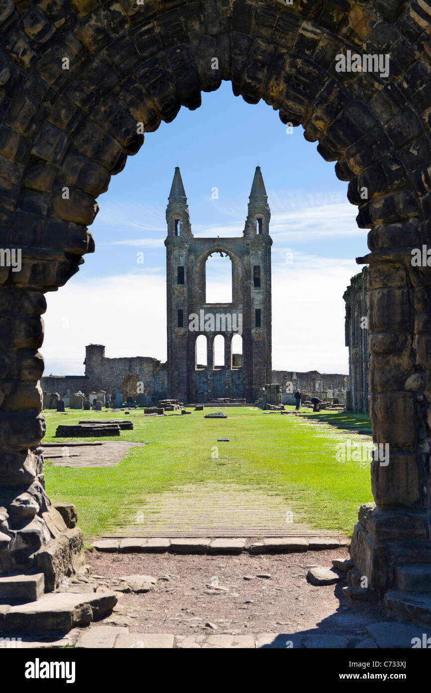 Ruinas de la Catedral de St Andrews, St Andrews, Fife, Escocia Central, REINO UNIDO Foto de stock