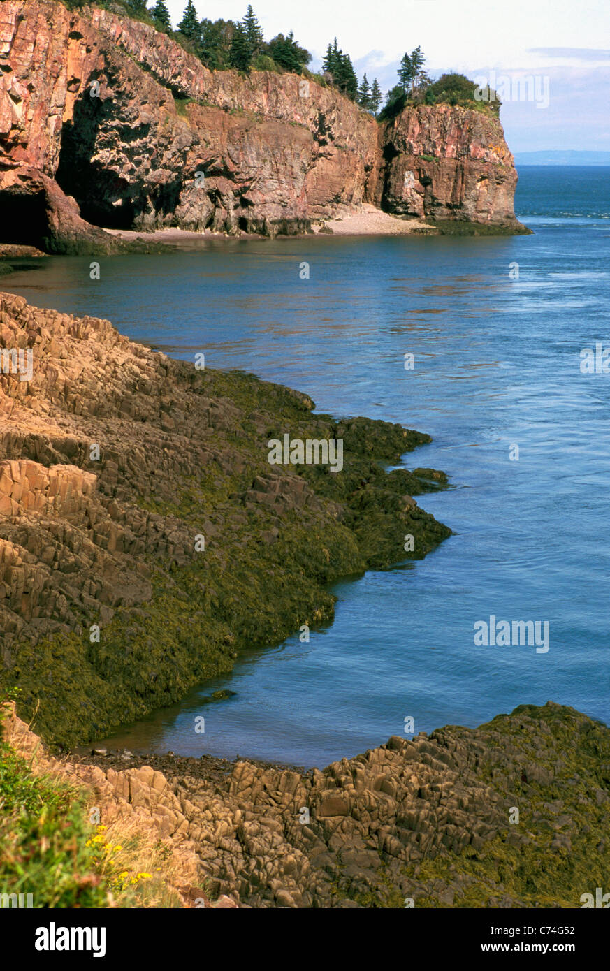 Cape d'Or, Nova Scotia, Canadá - acantilados de basalto y cuevas marinas a  lo largo de la Bahía de Fundy Litoral en minas y minas de la cuenca del  Canal Fotografía de