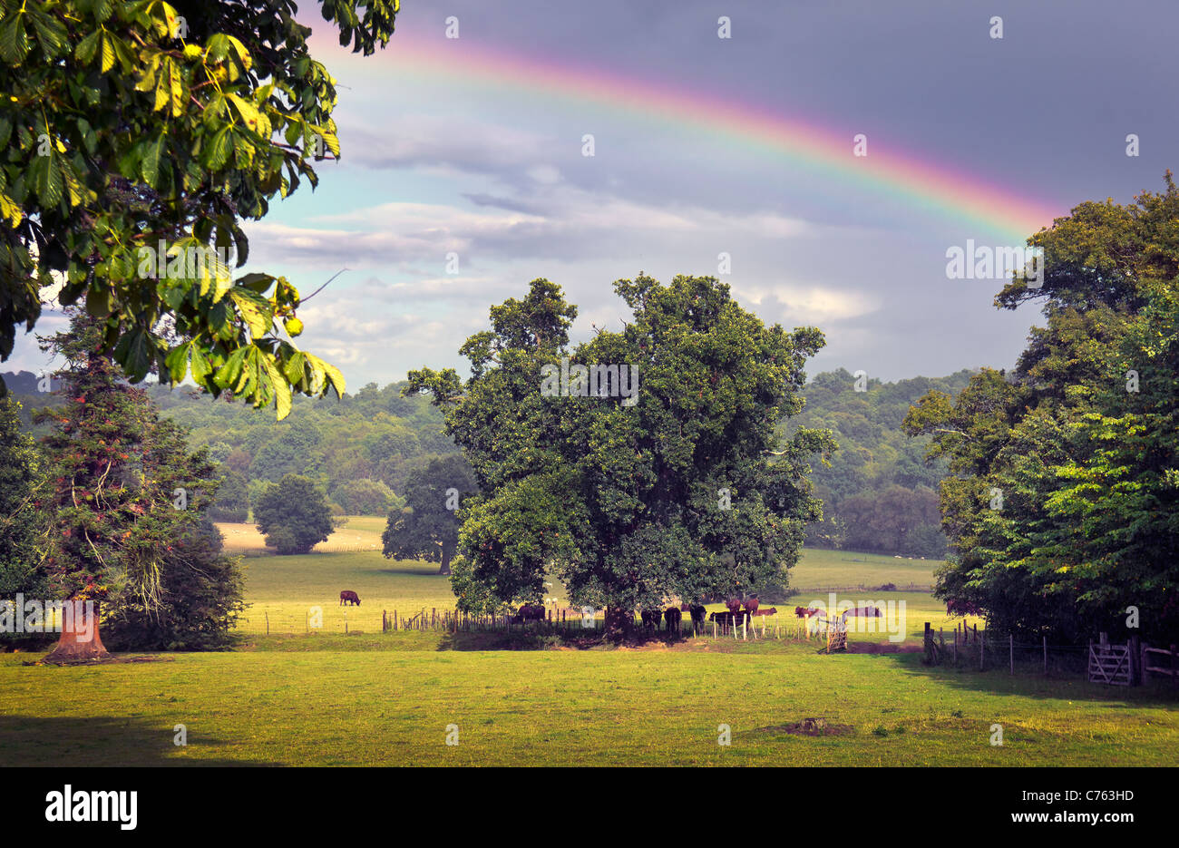 Campiña inglesa con arco iris Foto de stock