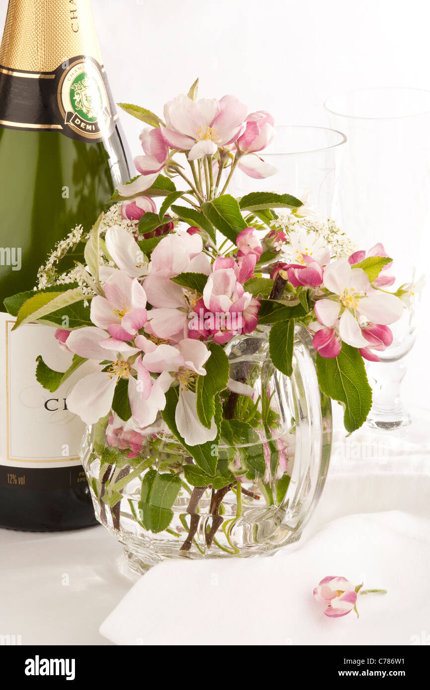 Una botella de champaña con copas y un arreglo floral de flor de manzana  fresca Fotografía de stock - Alamy