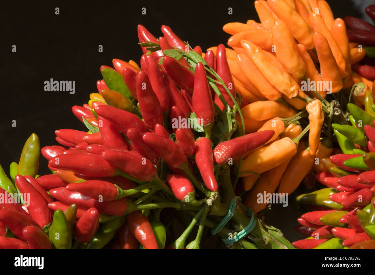 Chile chiles chille chilles especias picantes especias caliente rojo sabor condimentado sabor racimo racimos agrupados Foto de stock