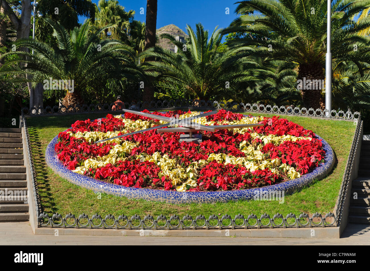 Reloj de Flores, el Parque Parque García Sanabria, Santa Cruz, Santa Cruz  de Tenerife, Islas Canarias, España, Europa Fotografía de stock - Alamy