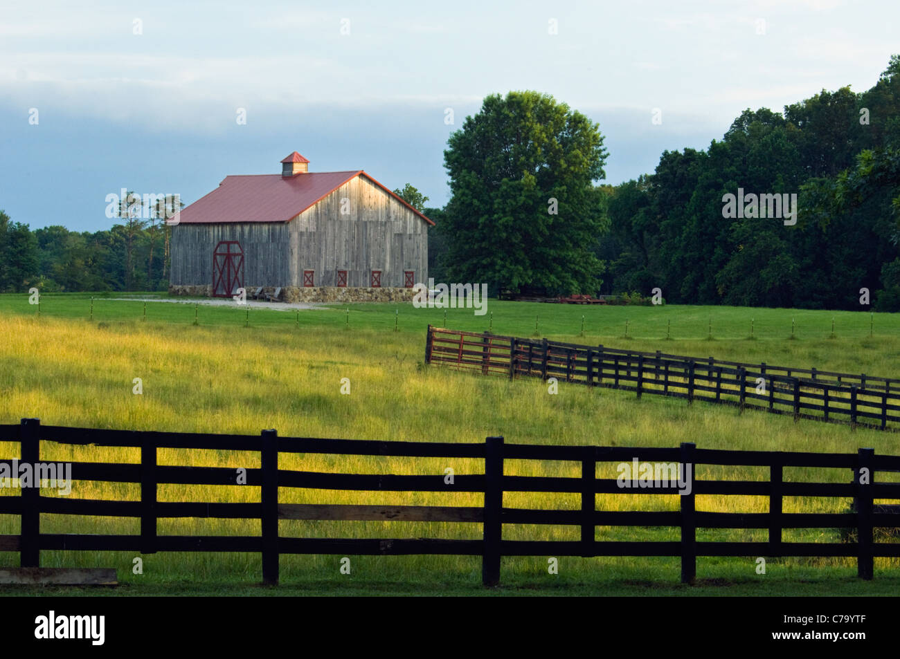 Tarde luz sobre los pastos de Midwestern Granja en Floyd County, Indiana Foto de stock
