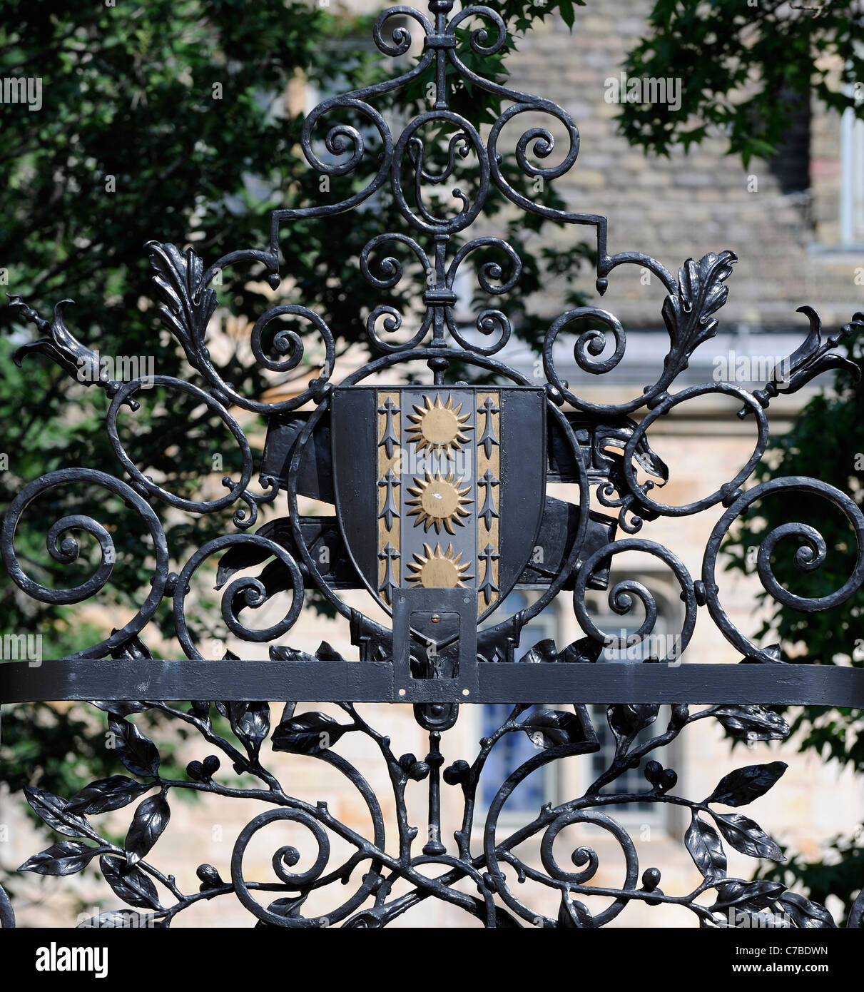 Universidad de Yale Pierson Residencial puerta de hierro forjado detalle Foto de stock
