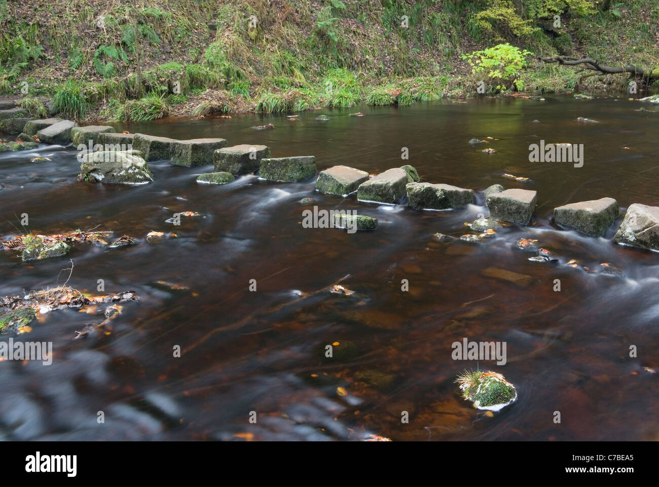 Sobre Stepping Stones Hebden agua en otoño, cerca de Hebden Bridge, Calderdale, Yorkshire, Reino Unido Foto de stock