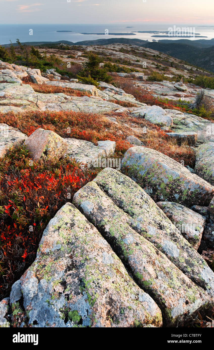 Caída en medio de la roca de granito de color en la cima de la montaña de Cadillac al atardecer, la Isla Monte Desierto, el Parque Nacional de Acadia, Maine Foto de stock