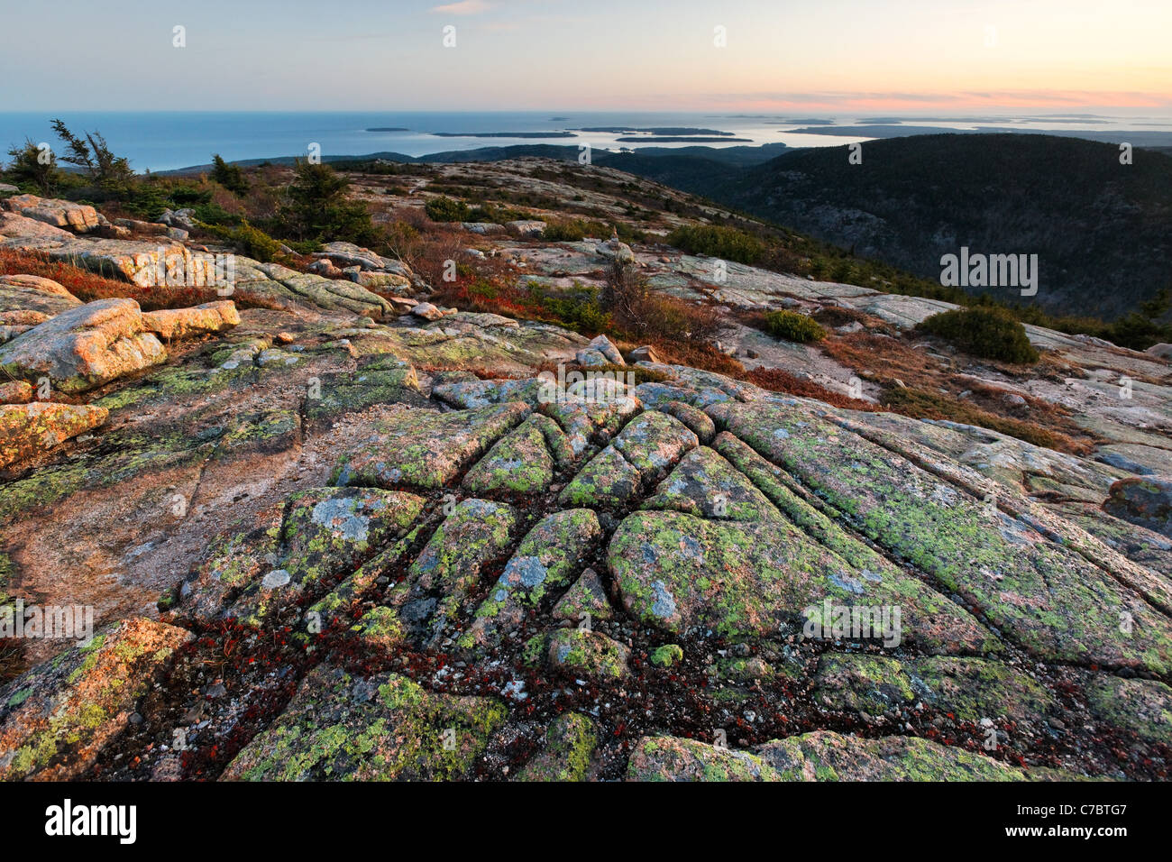 Caída en medio de la roca de granito de color en la cima de la montaña de Cadillac al atardecer, la Isla Monte Desierto, el Parque Nacional de Acadia, Maine Foto de stock