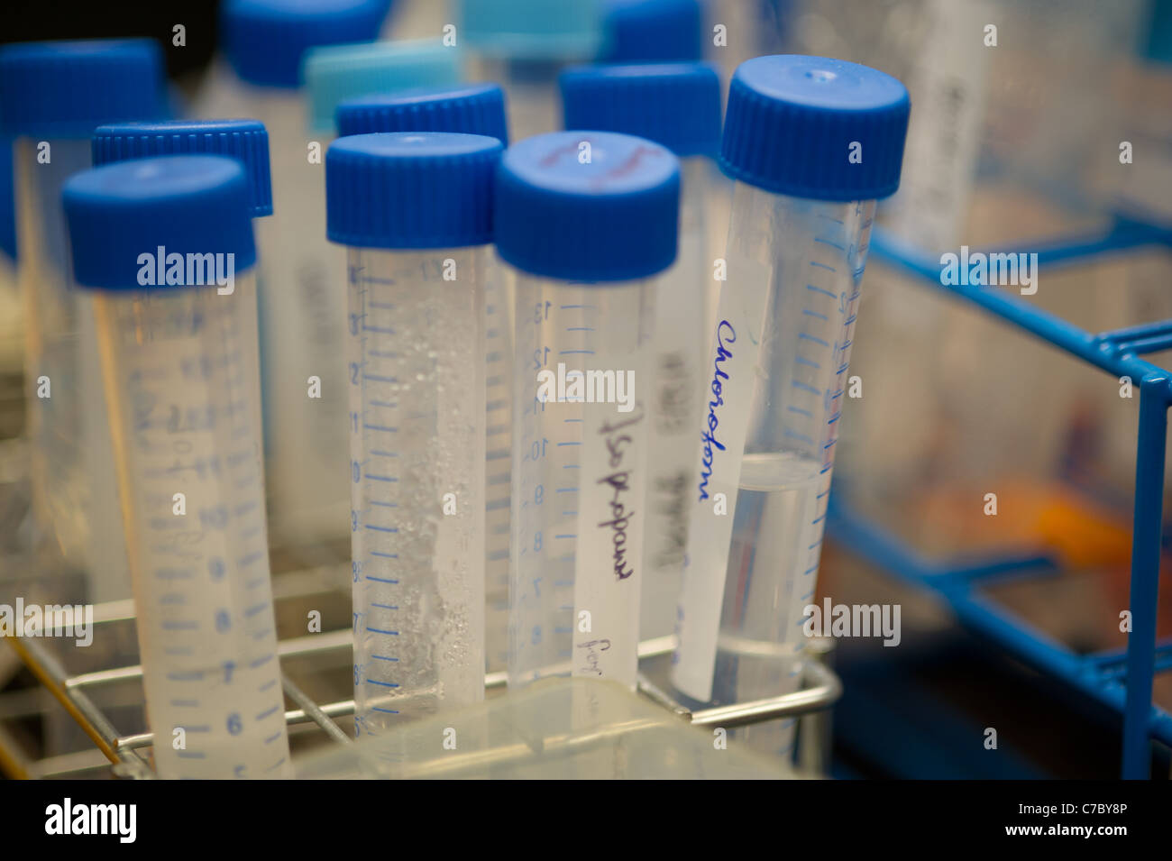 Tubos de ensayo en un laboratorio de ciencia para la experimentación Foto de stock