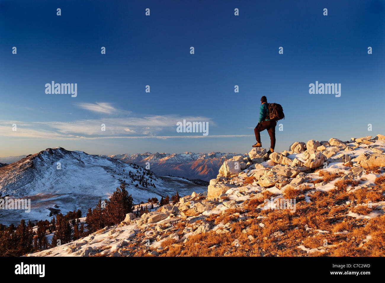 Excursionista macho en White Mountains (Montañas Sierra al amanecer en el fondo), el Bosque Nacional Inyo, White Mountains, California Foto de stock