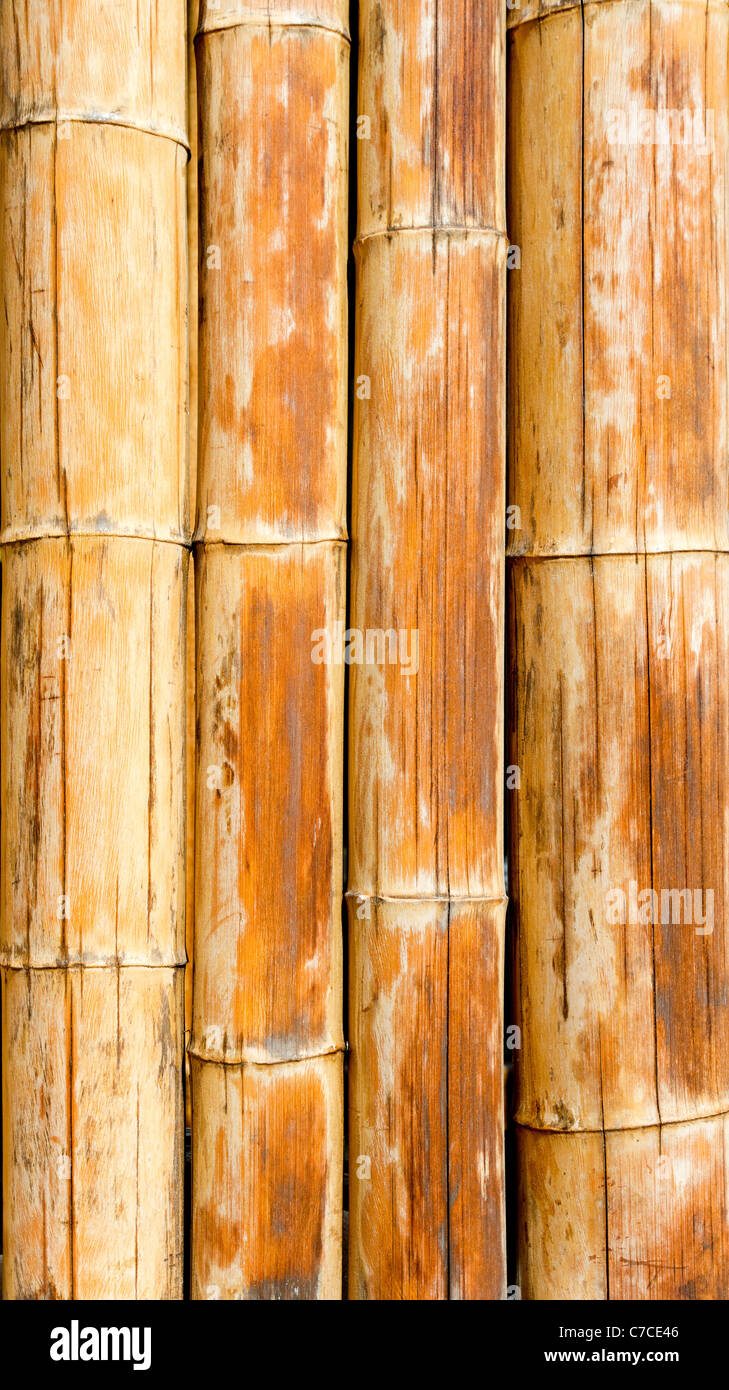 Caña Bambú Marrón