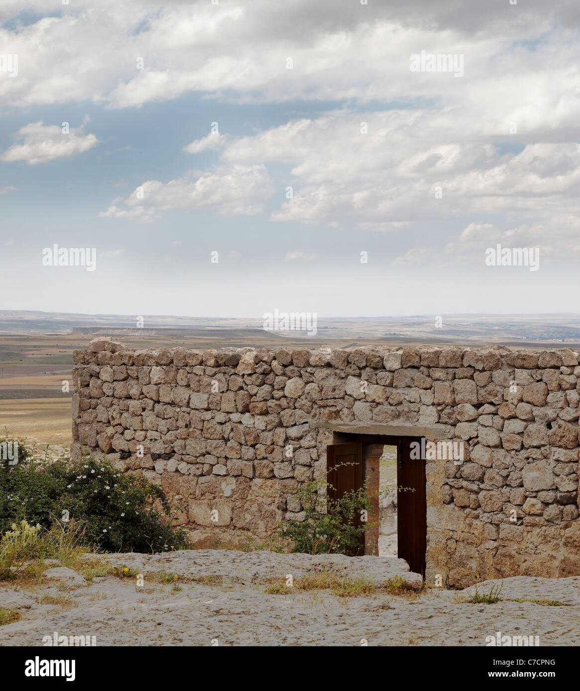Puerta abierta a través de paredes de piedra caliza y arenisca, plantas