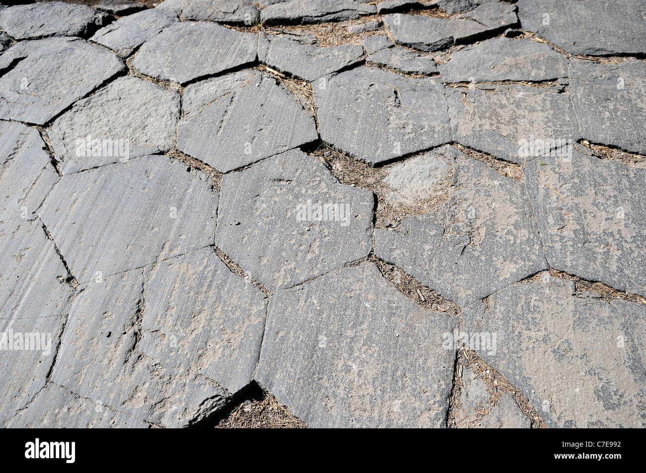 Estrías glaciales en la sección poligonal de columnas de basalto en el devils' Postpile National Monument. California, EE.UU. Foto de stock
