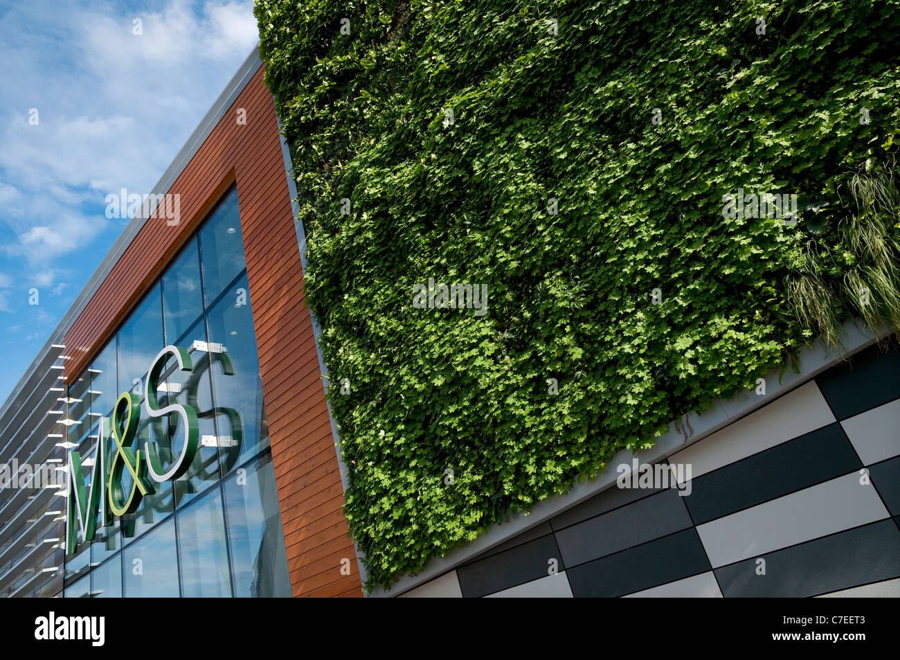 Muralla Verde creciendo en M&S STORE, Norwich, Norfolk, Inglaterra Foto de stock