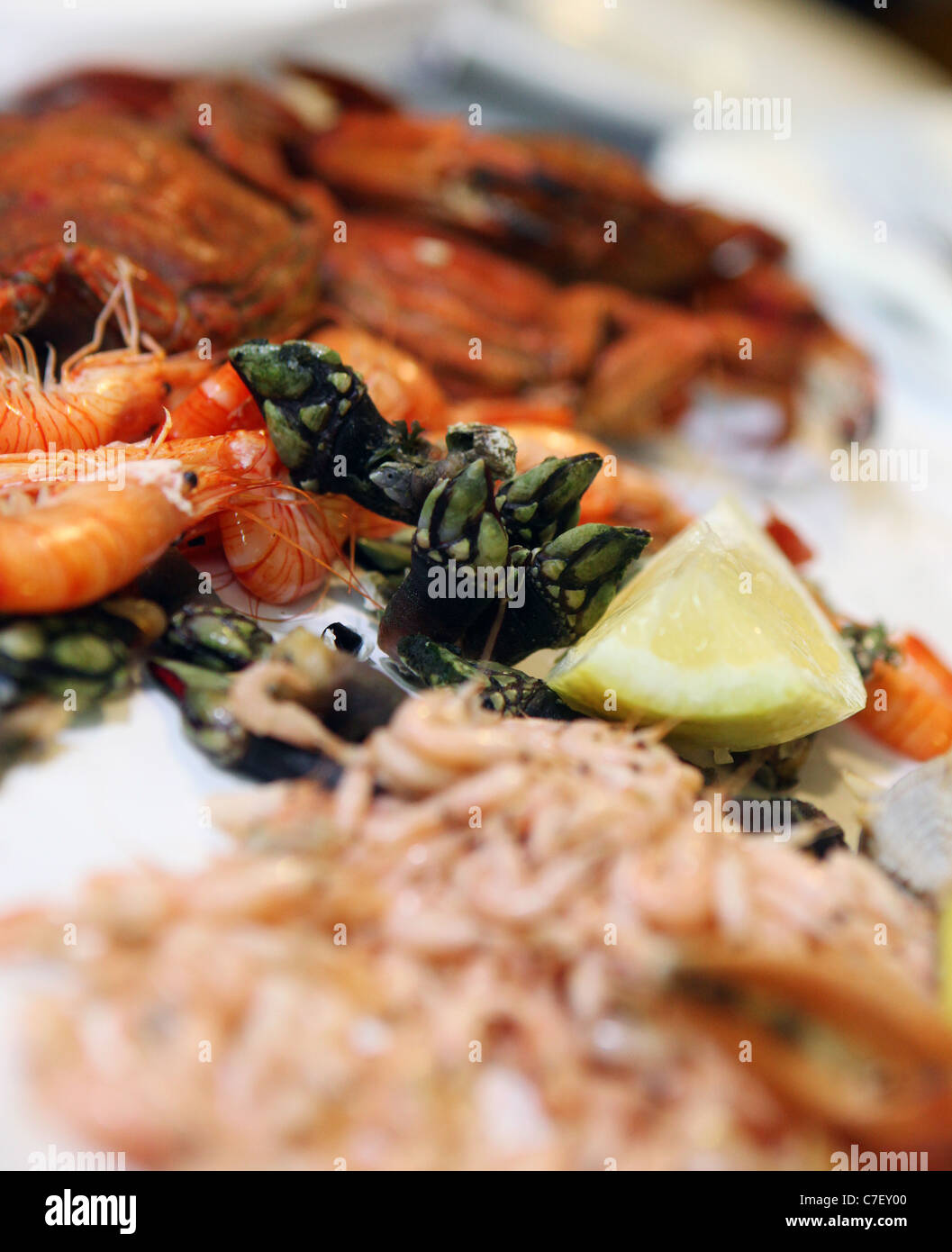 Pinchos en Jerez, España. El Puerto De Santa Maria10km de Jerez. Mezcla de  mariscos con cangrejo, percebes, camarones, caracoles marinos Fotografía de  stock - Alamy