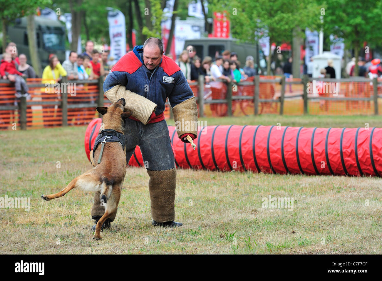 Perro de ataque militar, Perro Pastor Belga Malinois /, morder el hombre  con ropa protectora durante la sesión de entrenamiento del ejército  Fotografía de stock - Alamy