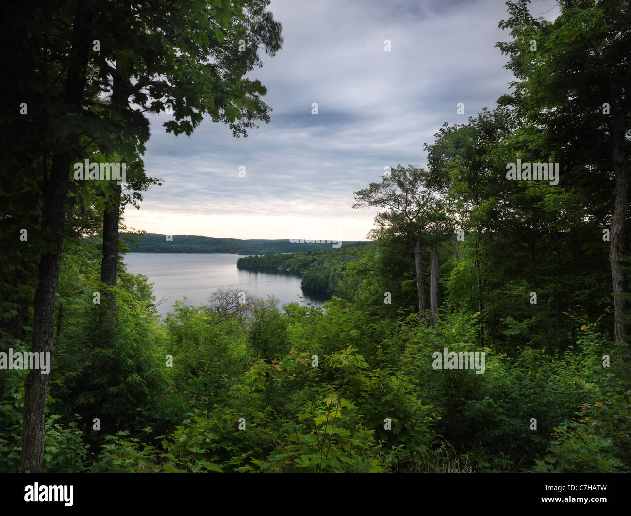 El Algonquin Provincial Park vista sobre el lago de humo verano escenario natural. En Ontario, Canadá. Foto de stock
